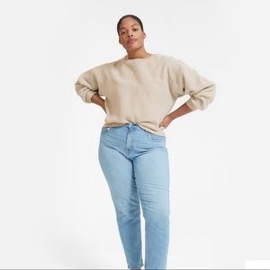 Everlane Renew Fleece Oversized Sweatshirt